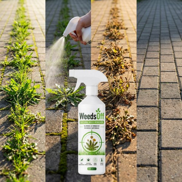 Alternative view of WeedsOff – Prirodni Herbicidni Sprej